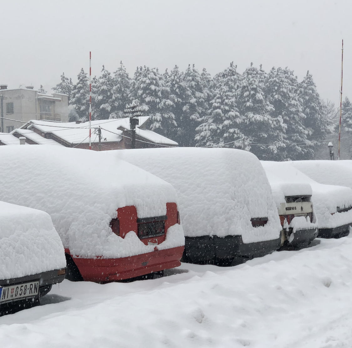 Sneg, ilustracija, foto: Aleksinačke novine