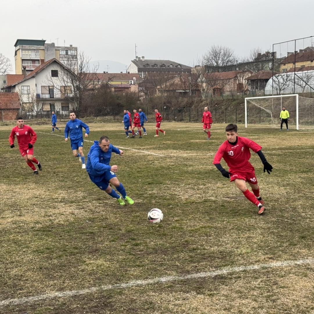 Detalj sa meča, foto: M.M. / Aleksinačke novine